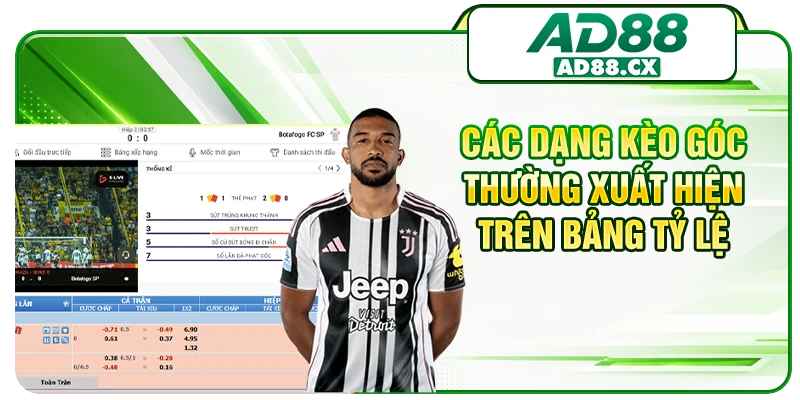 Các dạng kèo góc thường xuất hiện trên bảng tỷ lệ