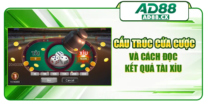 Cấu trúc cửa cược và cách đọc kết quả tài xỉu