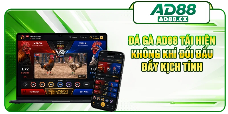 Đá gà AD88 tái hiện không khí đối đầu đầy kịch tính 