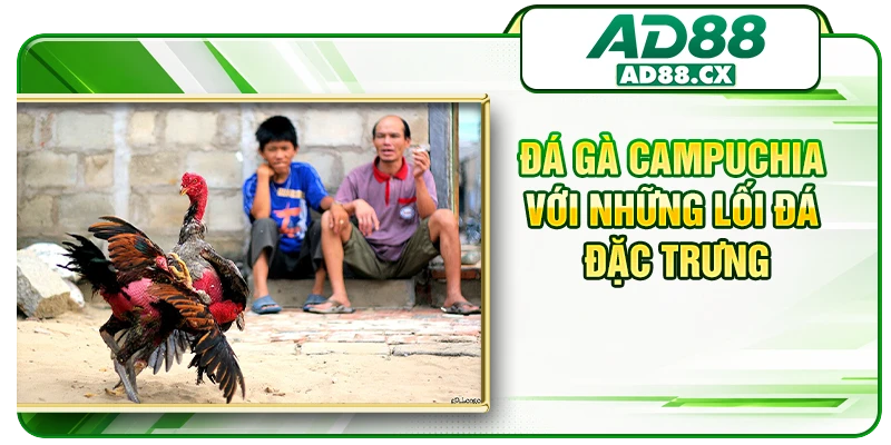 Đá gà Campuchia với những lối đá đặc trưng