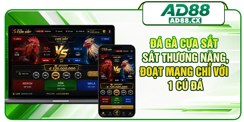 Đá gà cựa sắt